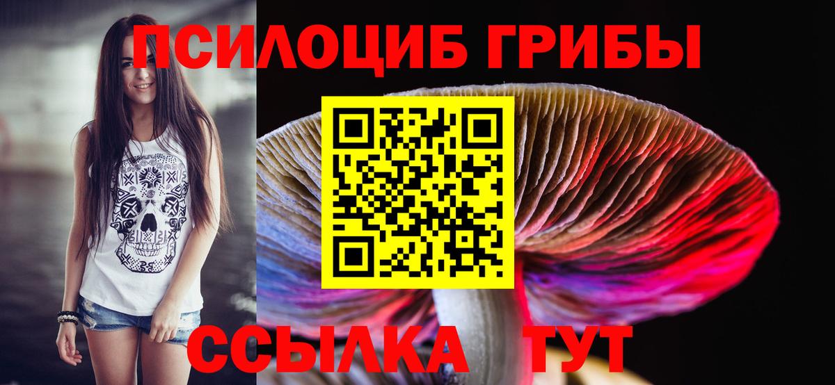 Заинск  Псилоцибиновые грибы MAGIC MUSHROOMS  Вход с VPN 